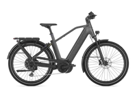 Gazelle Eclipse T11 HMB 2025