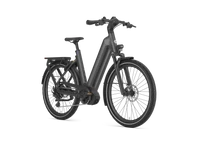Gazelle Eclipse T11 HMB 2025