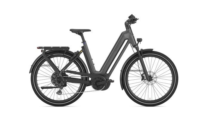 Gazelle Eclipse T11 HMB 2025