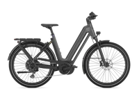 Gazelle Eclipse T11 HMB 2025