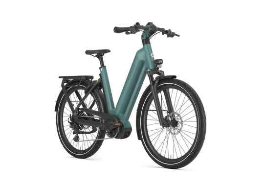 Gazelle Eclipse T11 HMB 2025