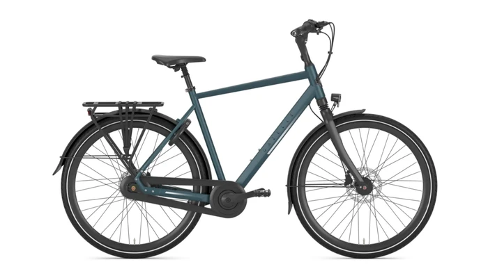Gazelle chamonix c8 heren dennengroen