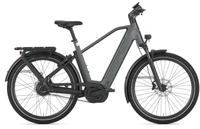 Gazelle eclipse c380 hmb 2027 heren grijs mat gazelle elektrische fietsen