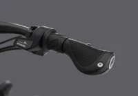 Gazelle Eclipse Speed 2025