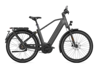 Gazelle Eclipse Speed 2025