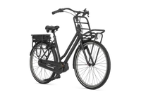 Gazelle HeavyDutyNL C7 HMB Smart 2025