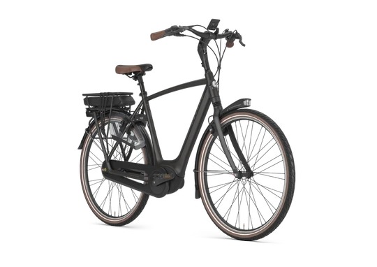Gazelle Orange C8 HMB 2024