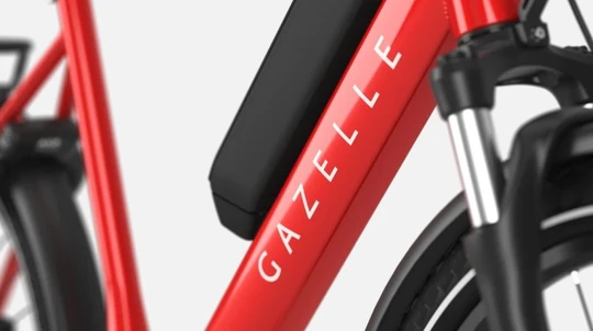 Gazelle Medeo T9 HMB 2025