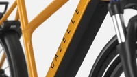 Gazelle Medeo T10 HMB 2025