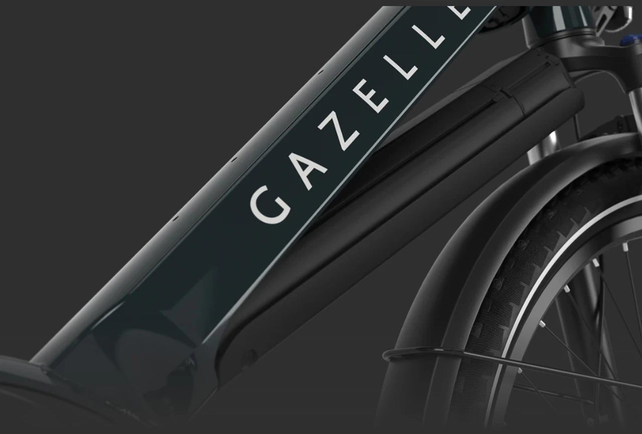 Gazelle Medeo T10 HMB 2025