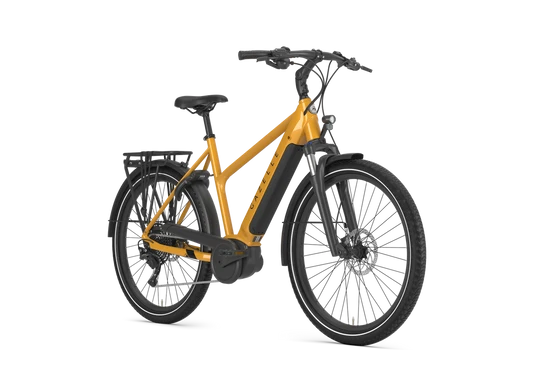 Gazelle Medeo T10 HMB 2025