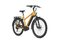 Gazelle Medeo T10 HMB 2025
