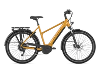 Gazelle Medeo T10 HMB 2025