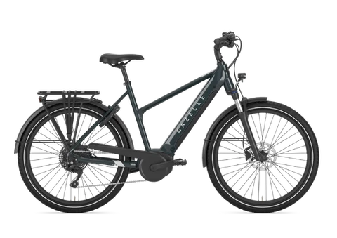 Gazelle Medeo T10 HMB 2025