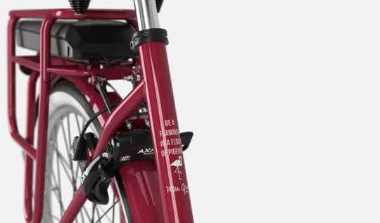 Gazelle Miss Grace C7 HMB Smart 2025