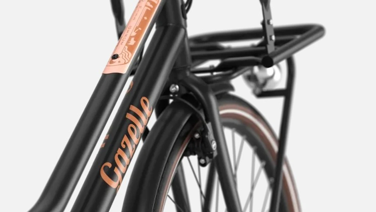 Gazelle Miss Grace C7 HMB Smart 2025