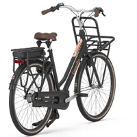 Gazelle Miss Grace C7 HMB Smart 2025