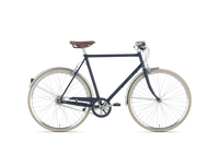 Gazelle Van Stael 2025