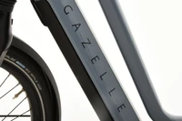 Gazelle Chamonix T10 HMS 2024