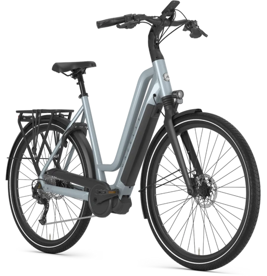 Gazelle Chamonix T10 HMS 2024