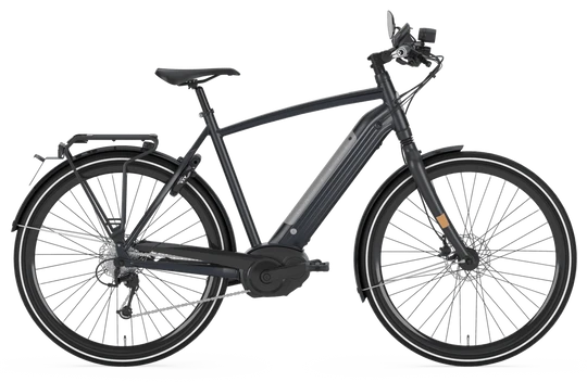 Gazelle CityZen Speed 2020