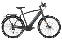Gazelle CityZen Speed 2020