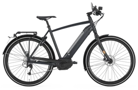 Gazelle CityZen Speed 2020