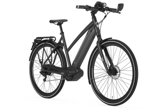 Gazelle CityZen Speed 380 2020
