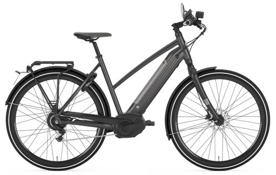 Gazelle CityZen Speed 380 2020