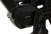 Gazelle Bloom C380 HMS 2024