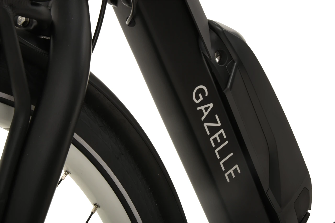 Gazelle Bloom C380 HMS 2024