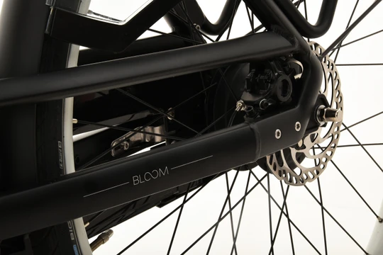 Gazelle Bloom C380 HMS 2024