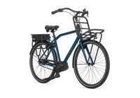 Gazelle HeavyDutyNL C5 HMB Smart 2025
