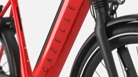 Gazelle Ultimate C8 Plus HMB 2025