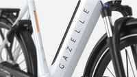 Gazelle Ultimate T10 HMB 2025