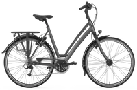 Gazelle Chamonix T30 2023