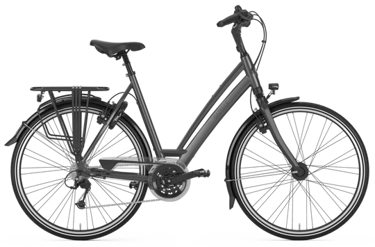 Gazelle Chamonix T30 2023