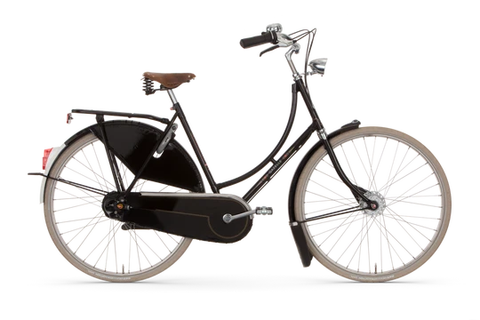 Gazelle Tour Populair T8 2024