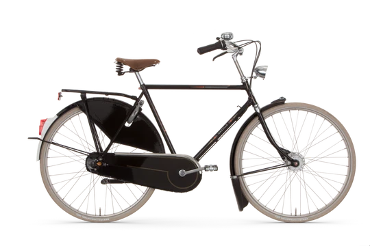 Gazelle Tour Populair T8 2024
