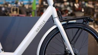 Gazelle Bloom C7 2025