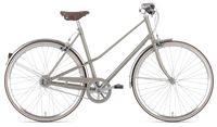 Gazelle Van Stael 2024