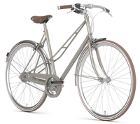 Gazelle Van Stael 2024