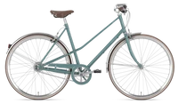 Gazelle Van Stael 2024