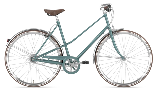 Gazelle Van Stael 2024