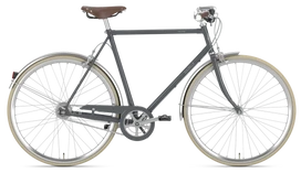 Gazelle Van Stael 2024