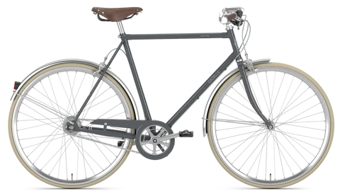 Gazelle Van Stael 2024