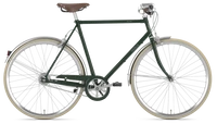 Gazelle Van Stael 2024