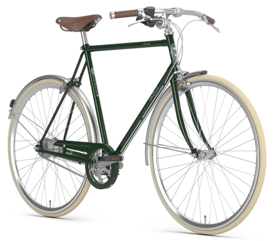 Gazelle Van Stael 2024