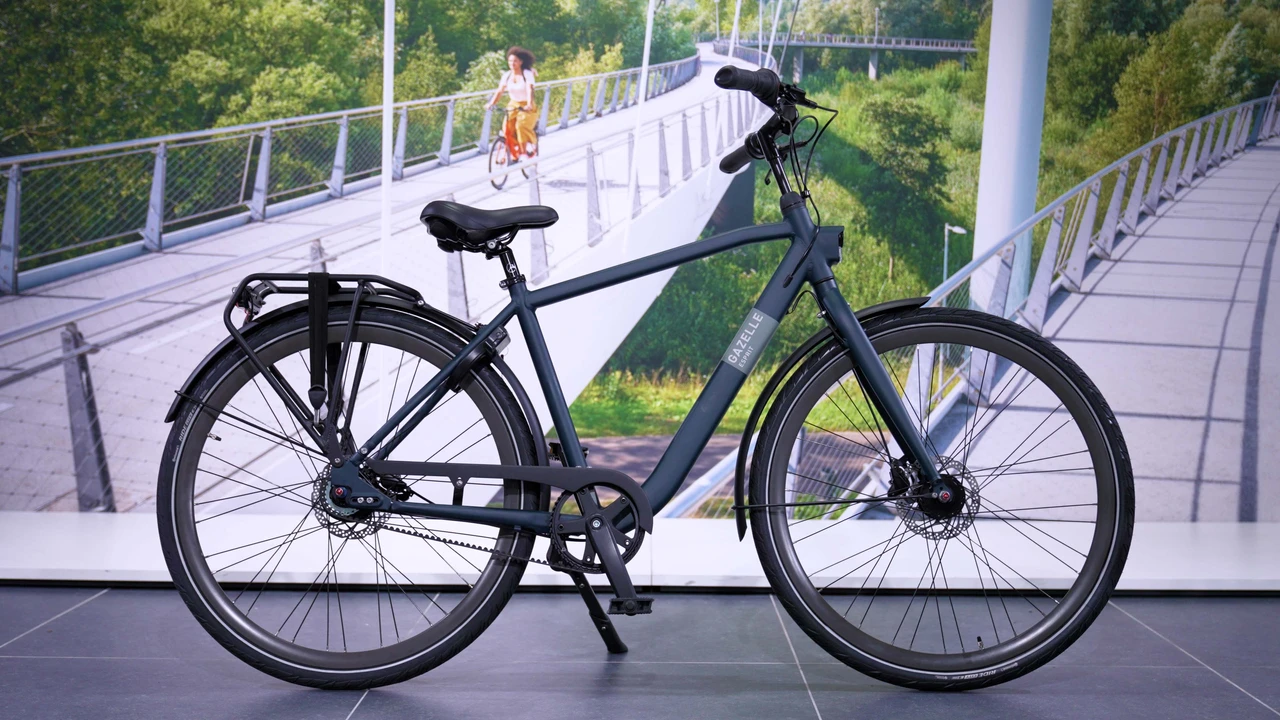 Gazelle Esprit Belt 2025