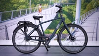 Gazelle Esprit Belt 2025